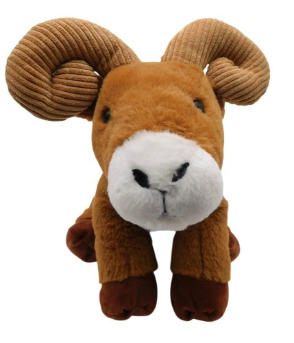 Teddy mountain bighorn ram - bighorn,