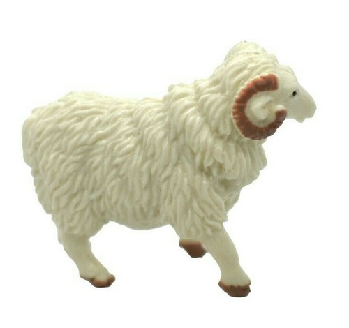 Sheep ram domestic white - sheep,, domestic,